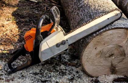 MEJIAFENCESEXPERTS_CUTTING-TREES-2