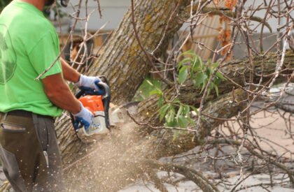 MEJIAFENCESEXPERTS_CUTTING-TREES-4