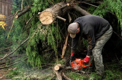 MEJIAFENCESEXPERTS_CUTTING-TREES-5