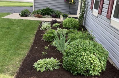 MEJIAFENCESEXPERTS_LANDSCAPING-3